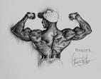mes muscle